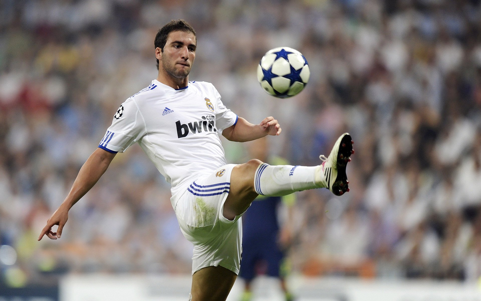 九游网页官网-“安赫尔·巴尔博萨的力量与速度，助力美洲狮队提升竞技水平”